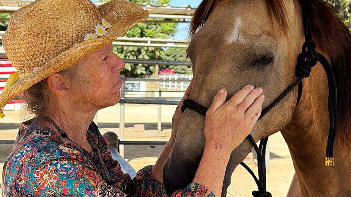 New Arrival at S&D Horseback Riding campaign photo, 1 of 8