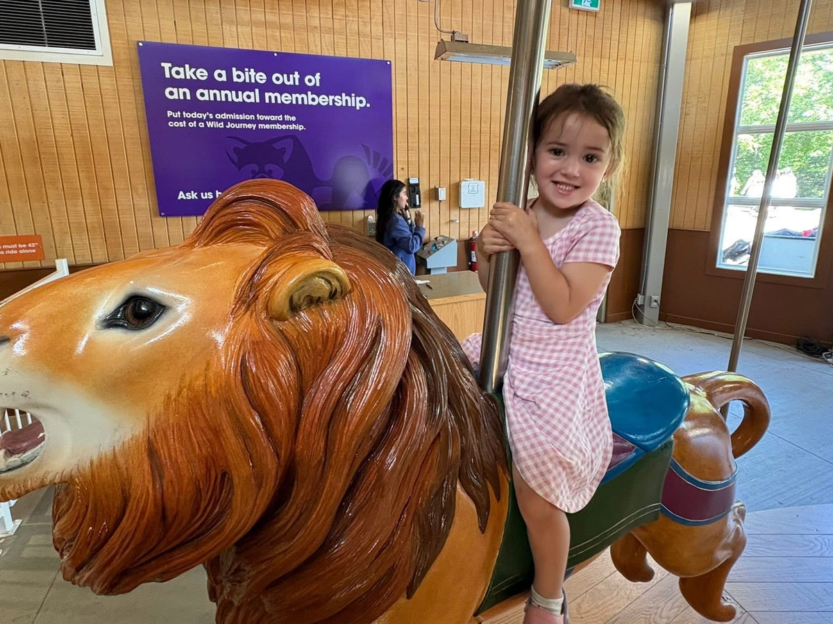 Help Sweet Violet Fight Her Brain Tumour campaign photo, 1 of 8