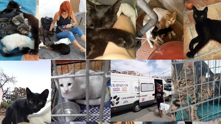 Foto principal de la recaudación de fondos