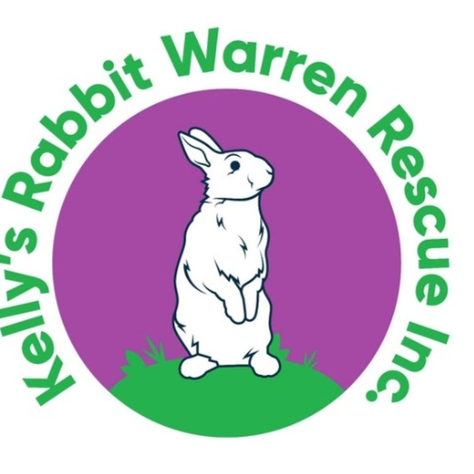 Rabbit rescue hot sale inc