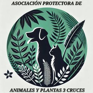 Asociacion Protectoras Animales Y Plantas 3 Cruces