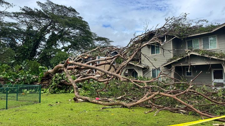 Support for Taylor & Jacob’s Family After the Storm campaign photo, 1 of 6