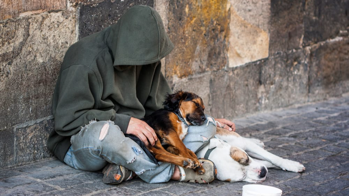 Support Melbourne's Homeless People & Pets this Winter campaign photo, 1 of 3