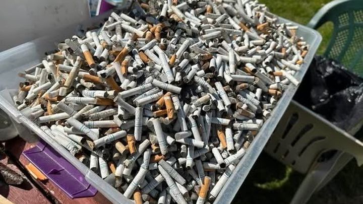 cigarette paper with filter Rolled Paper, Rolling Paper Filter Tips 110MM Guadeloupe