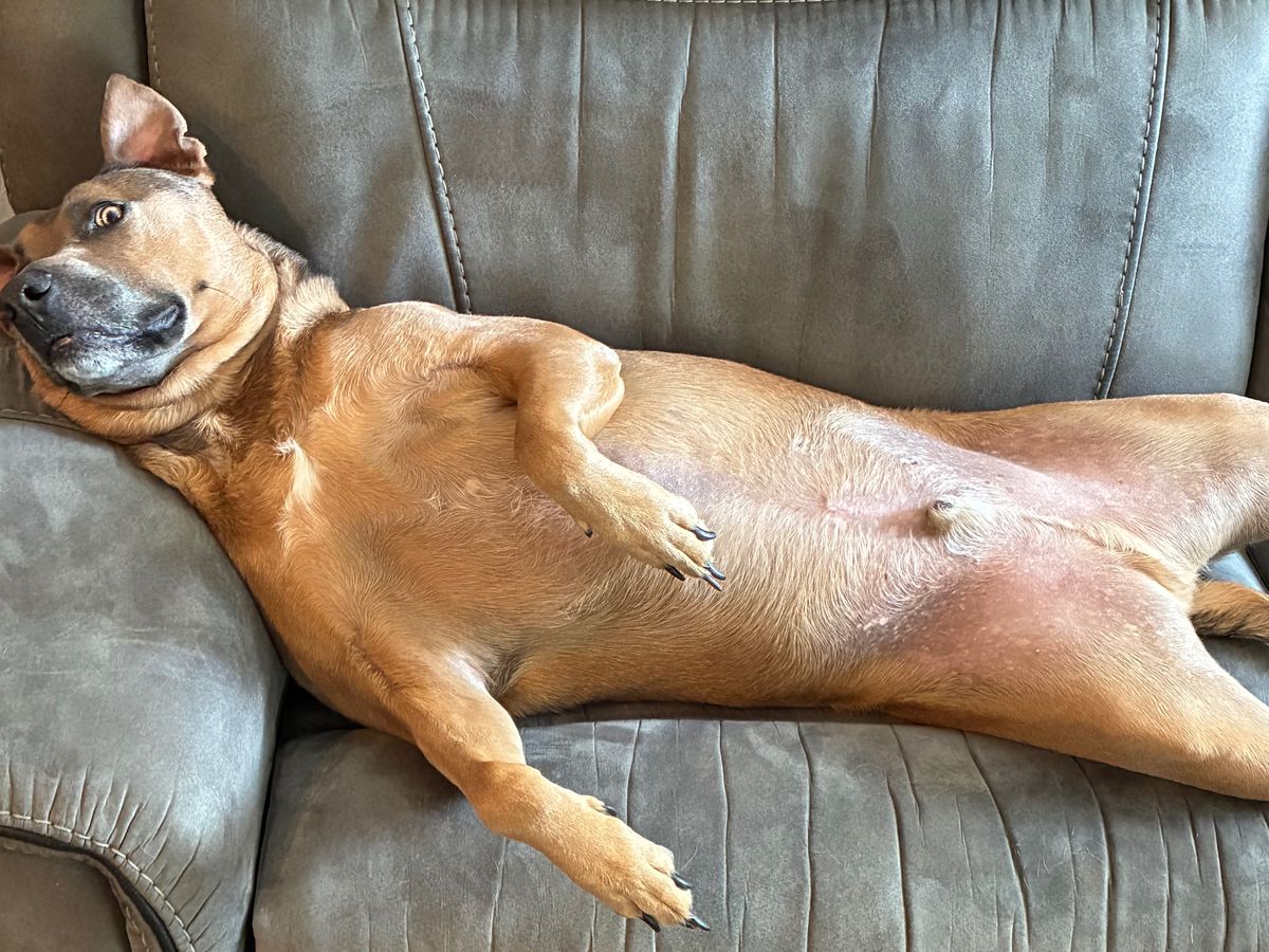 Fundraiser’s main image