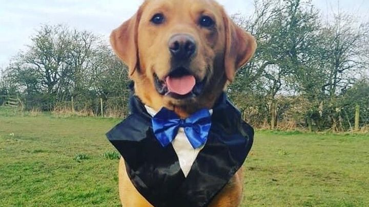 Main fundraiser photo