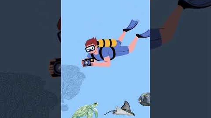 Help Us Start an Underwater Videography Course at Seacamp video thumbnail, 1 of 3