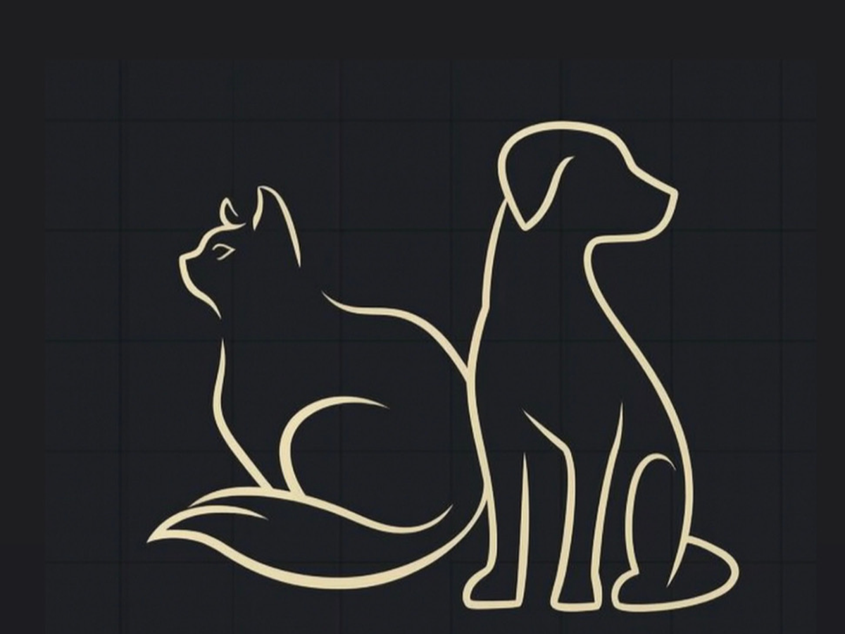 Fundraiser’s main image