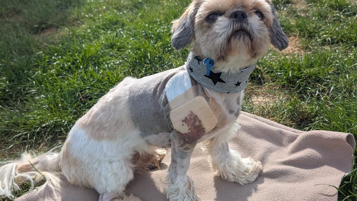 Main fundraiser photo