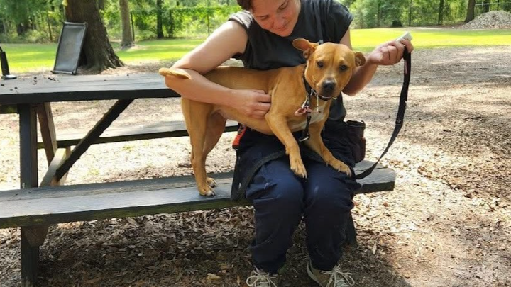 Empower Char's Journey to Enrich CCAW Dogs' Lives campaign photo, 1 of 6