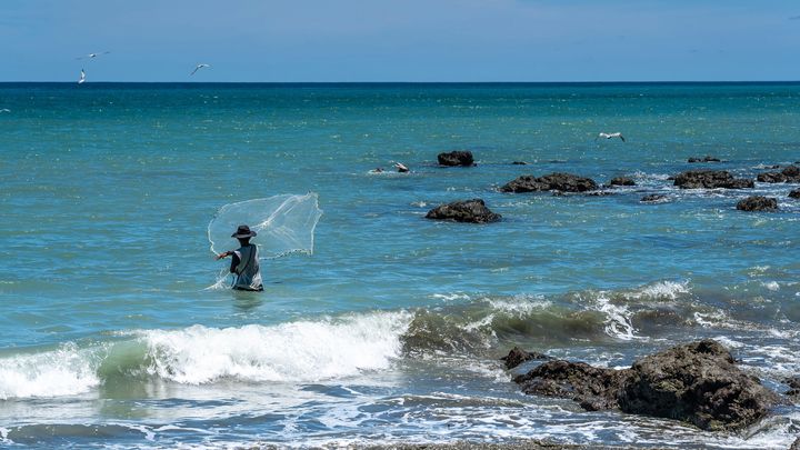 Empowering Young Ocean Professionals in Latin America campaign photo, 1 of 5