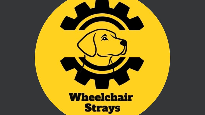 Support Wheelchair Strays’ Shelter Project campaign photo, 1 of 3