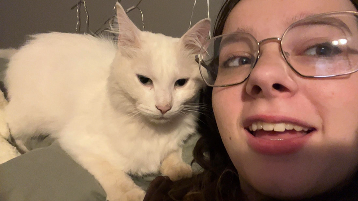 Save Sokka: Urgent Help Needed for FIP Treatment campaign photo, 1 of 4