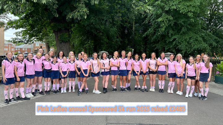 The Pink Ladies raise money for the Fenland Women's refuge. campaign photo, 1 of 3