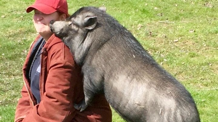 Main fundraiser photo