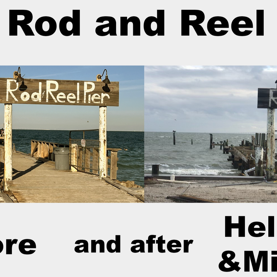 best spinning fishing reels out for in shore The 4 Best Fishing Reels of 2026