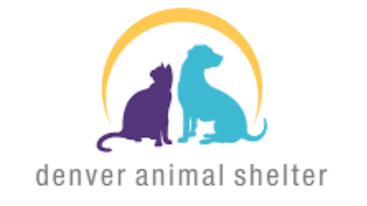 Fundraiser by Rachel Wenig Denver Animal Shelter Holiday Donation