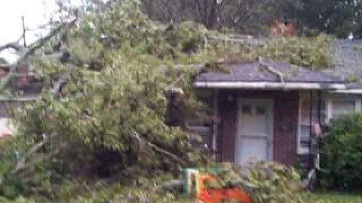 Main fundraiser photo