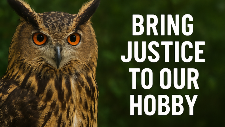 Support Jessy – For the right to keep birds of prey! campaign photo, 1 of 2