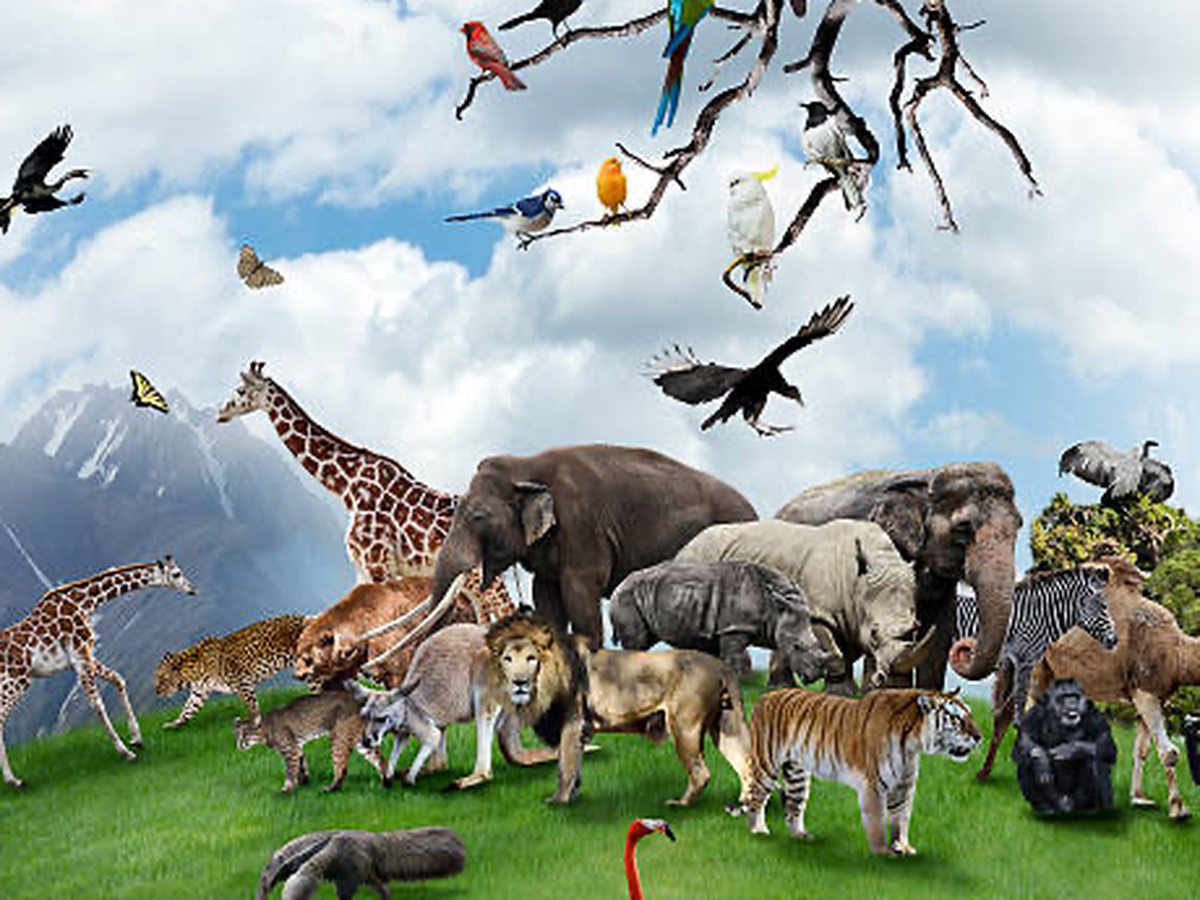 Fundraiser’s main image