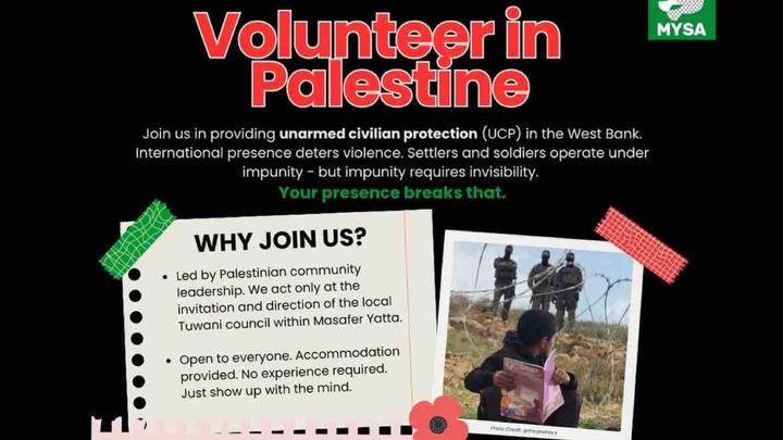 Help Me Make it to West Bank for Olive Harvest campaign photo, 1 of 11