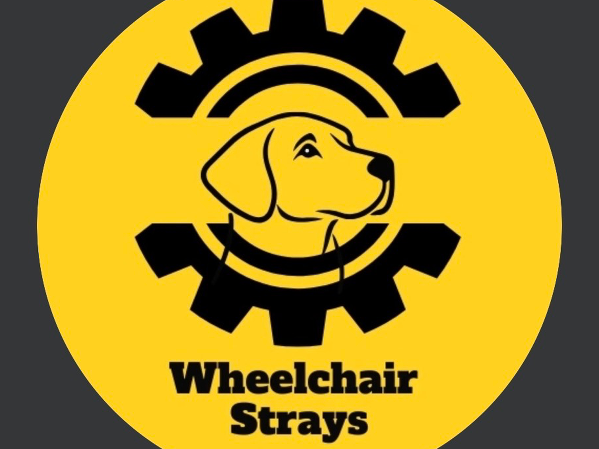Fundraiser’s main image