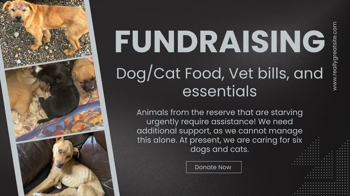Main fundraiser photo