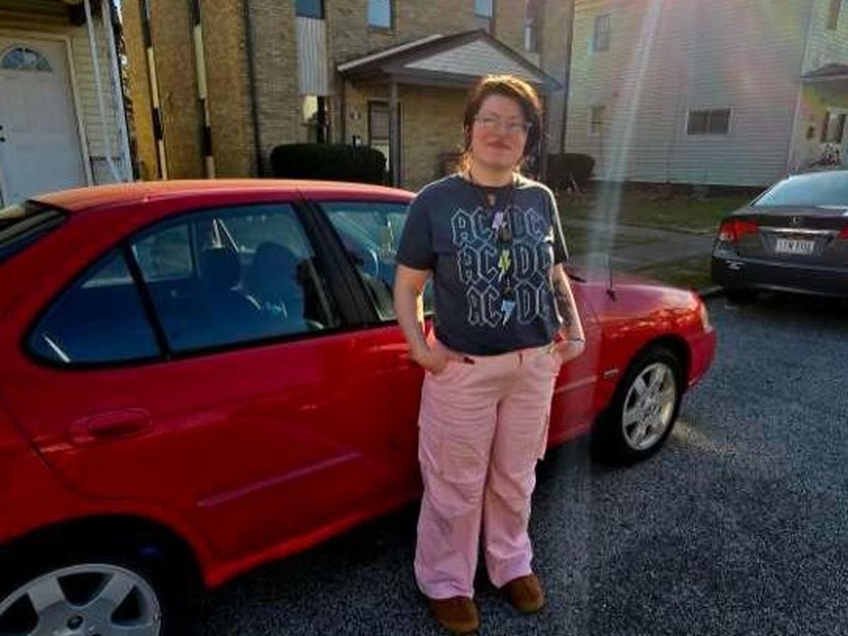 Kit For Raffle Fundraiser by Allyssa Smith : A Safe Move Home for Kit and Her Daughter
