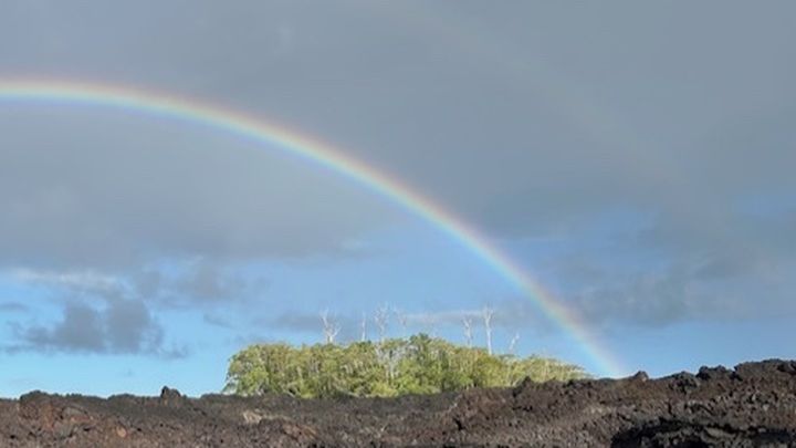 Hedonisia Hawaii Lava to Lotus Crowdfund campaign photo, 1 of 8