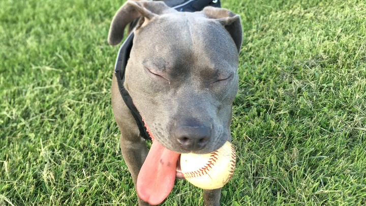 Help Kody Fight T Cell Lymphoma campaign photo, 1 of 8