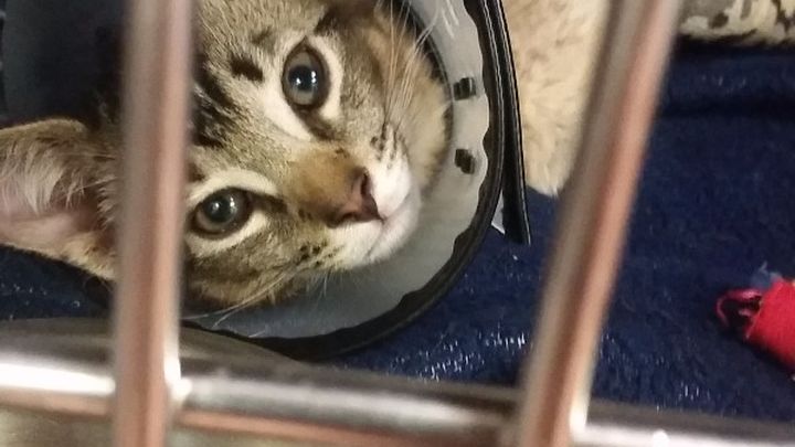 Main fundraiser photo