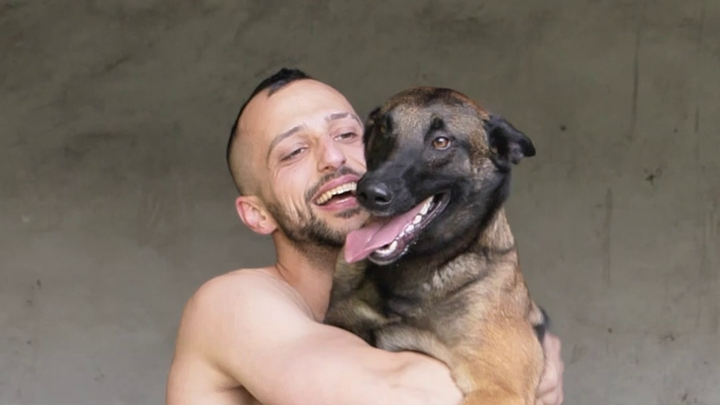 Aiutami a Guarire per tornare dalla mia cagnolina Ellie