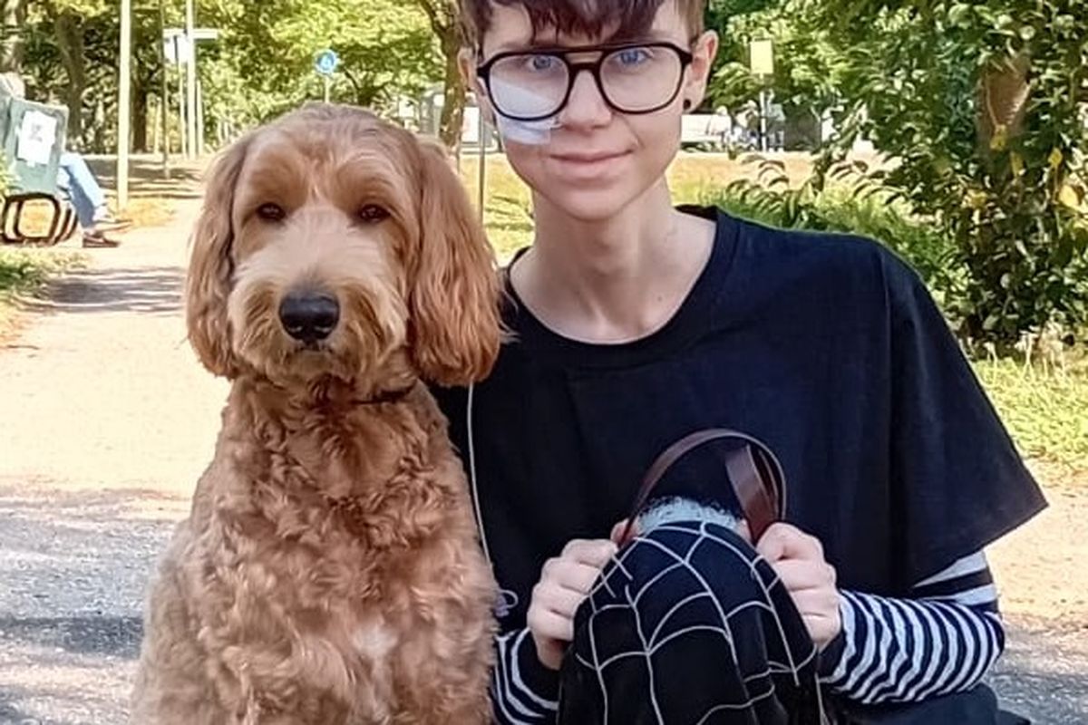 Last Days Of Beautiful | The Buckfever Underground | THE BUCKFEVER  UNDERGROUND, image size:1200x800