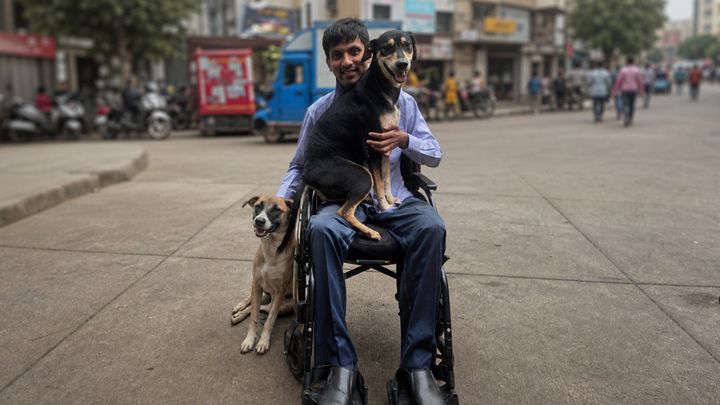 Help Joseph feed and care for 35 dogs and 10 cats in Mumbai campaign photo, 1 of 8