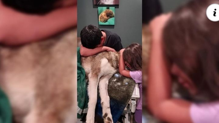 Foto principale della raccolta fondi