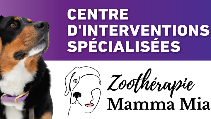 Soutenez nos 50 animaux, protégez notre mission campaign photo, 1 of 8
