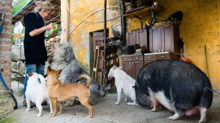 Foto principal de la recaudación de fondos