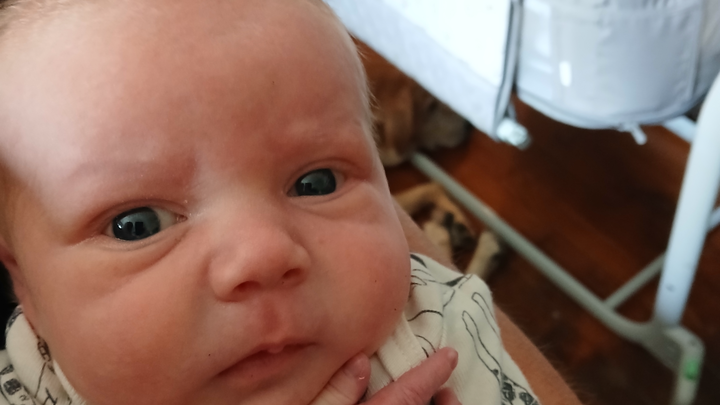 Kash Wyatt Woorley campaign photo, 1 of 6