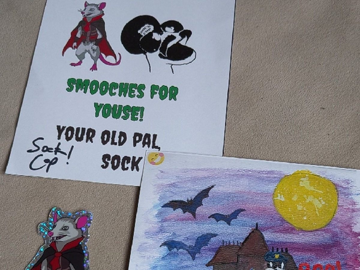 Fundraiser’s main image