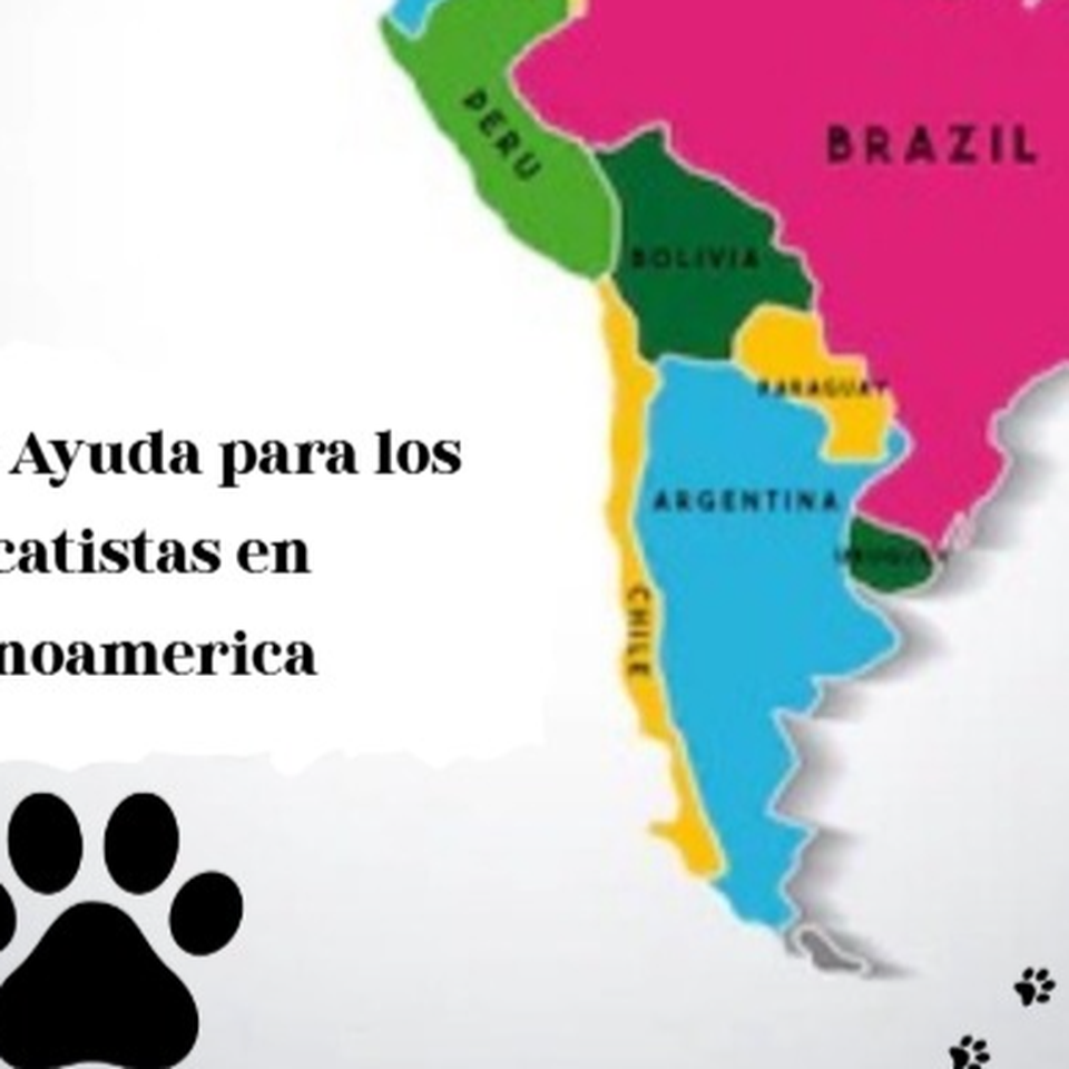 Hagamos Equipo por los Animalitos