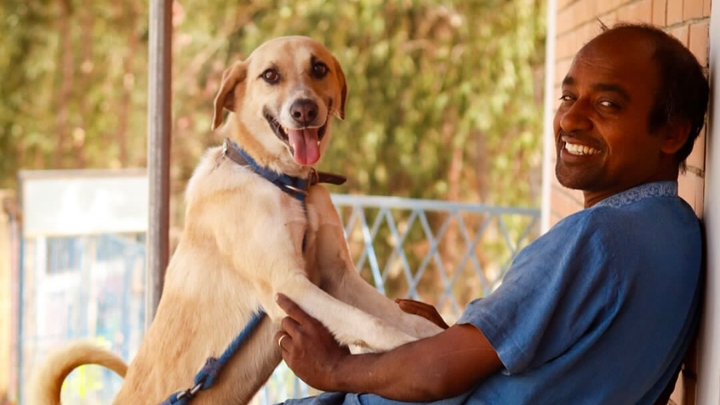 Support an incredible dog shelter with medical & food bills campaign photo, 1 of 8