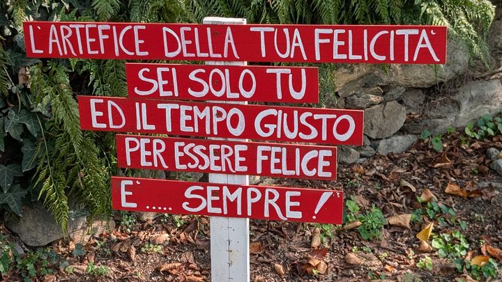 Dalle ceneri può rinascere Amore campaign photo, 1 of 5