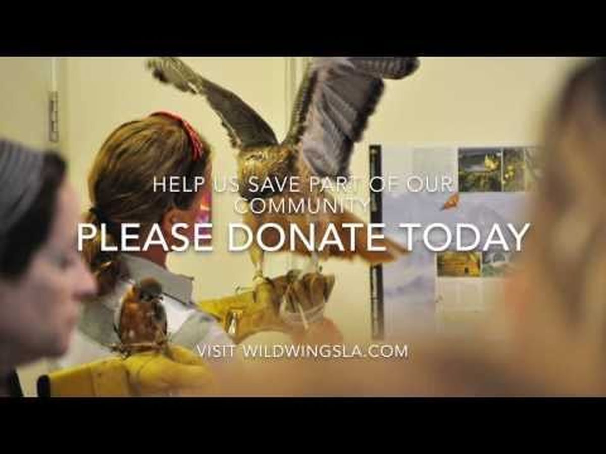 Fundraiser’s main image