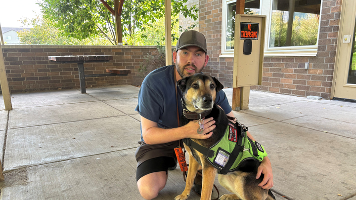 Pepper: Service Dog in Need of Surgery campaign photo, 1 of 3