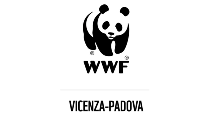 Foto principale della raccolta fondi