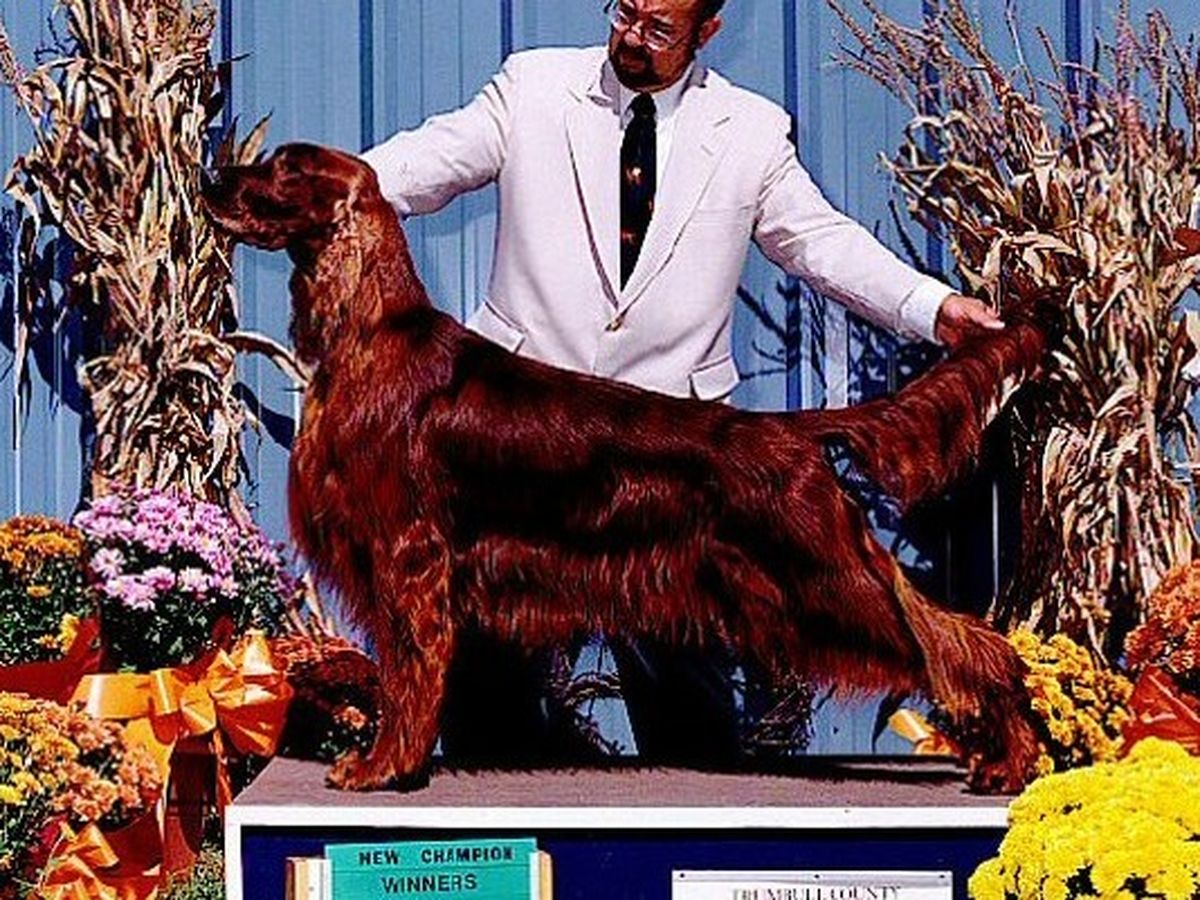 Fundraiser’s main image