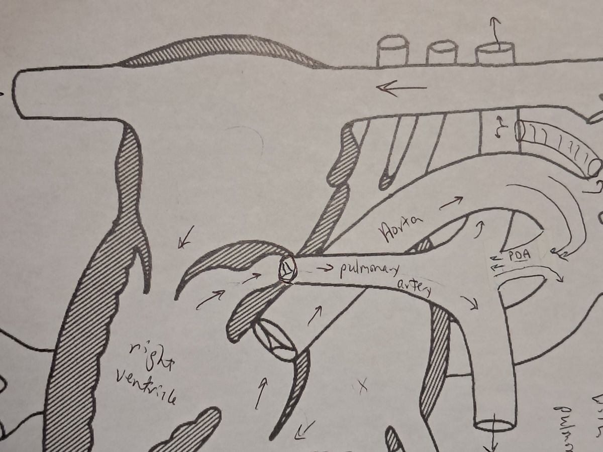 Fundraiser’s main image