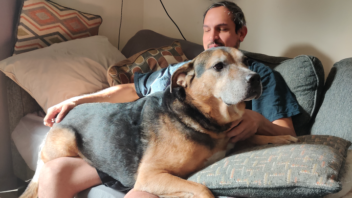 Please help Thor. He's a good boy. campaign photo, 1 of 8