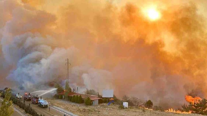 From Ashes to Forests: Support Çanakkale’s Wildfire Recovery campaign photo, 1 of 7