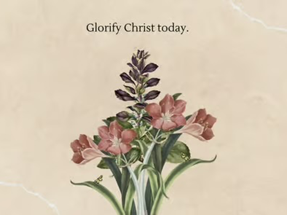 Fundraiser’s main image